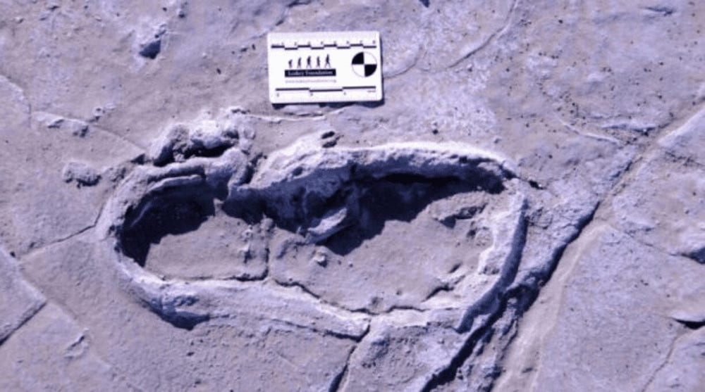 Fossilised Human Footprints in Africa