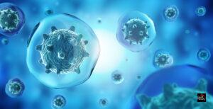 A New Therapeutic Strategy Against Pancreatic Cancer Shows Promising Results